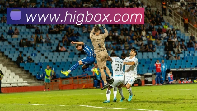 滚球官网app服务体系