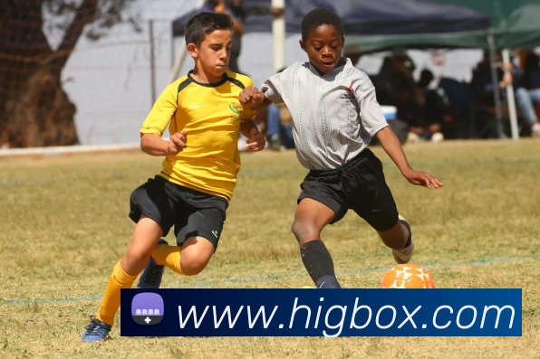 滚球官网appAPP 体育赛事宣传图